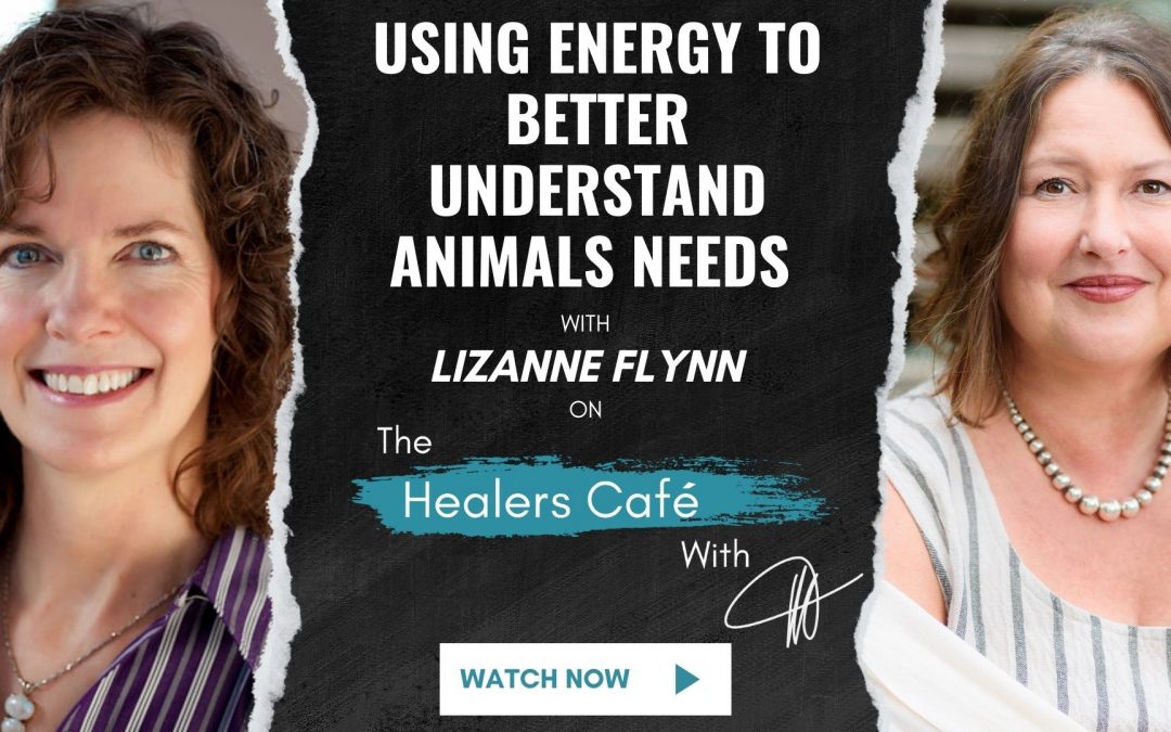 Using Energy to Better Understand Animals Needs – Lizanne Flynn on The Healers Café with Manon Bolliger